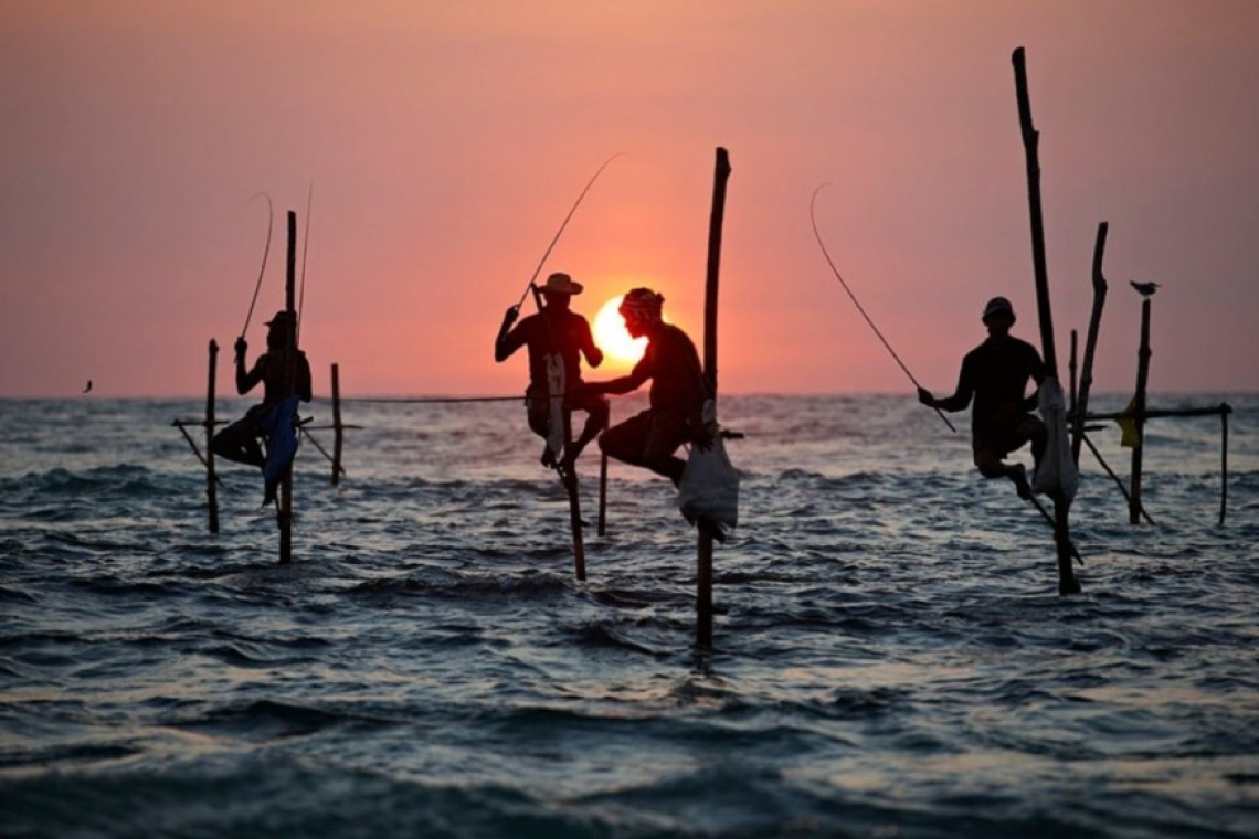 ගෝඨා ගොවීන්ට කළ දේ මාලිමා ආණ්ඩුවෙන් ධීවරයන්ට?